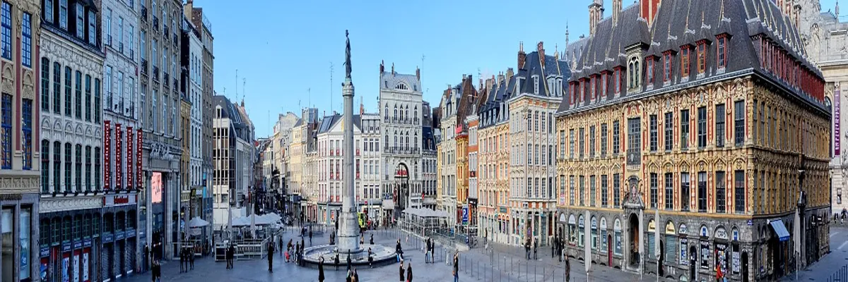Image Installateur borne de recharge Lille