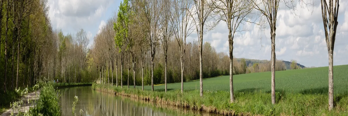 Image Installateur borne de recharge Yonne