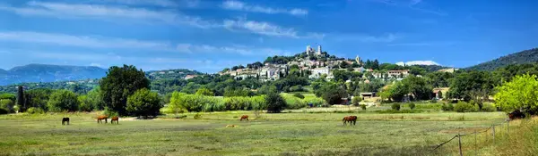 Borne Recharge Pro Installateur borne de recharge Grimaud