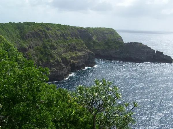 Borne Recharge Pro Installateur borne de recharge Guadeloupe