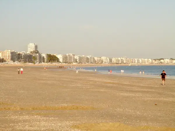 Borne Recharge Pro Installateur borne de recharge La Baule-Escoublac