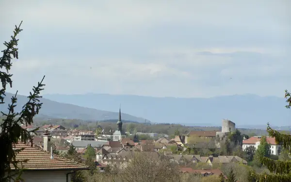 Borne Recharge Pro Installateur borne de recharge La Roche-sur-Foron