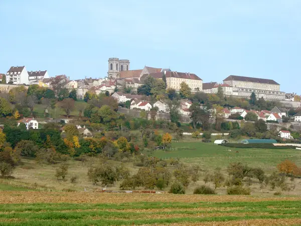 Borne Recharge Pro Installateur borne de recharge Langres