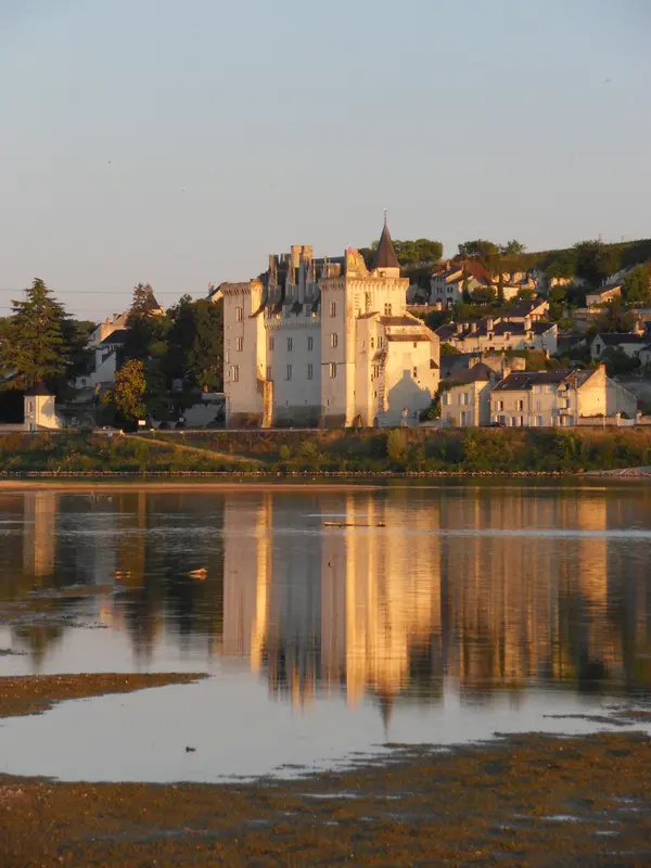 Borne Recharge Pro Installateur borne de recharge Pays de la Loire
