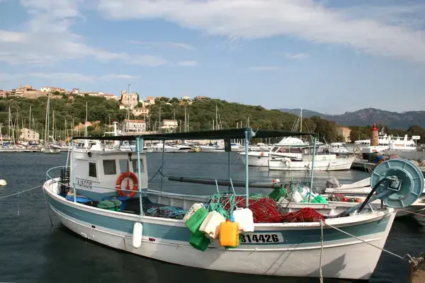 Borne Recharge Pro Installateur borne de recharge Porto-Vecchio