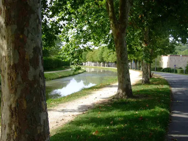 Borne Recharge Pro Installateur borne de recharge Saint-Amand-Montrond
