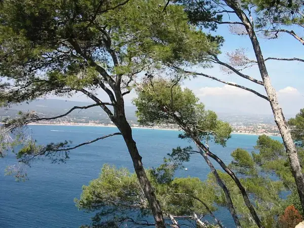 Borne Recharge Pro Installateur borne de recharge Saint-Cyr-sur-Mer